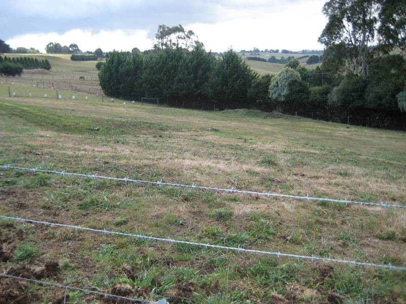 319 Christies Road, Buln Buln VIC 3821