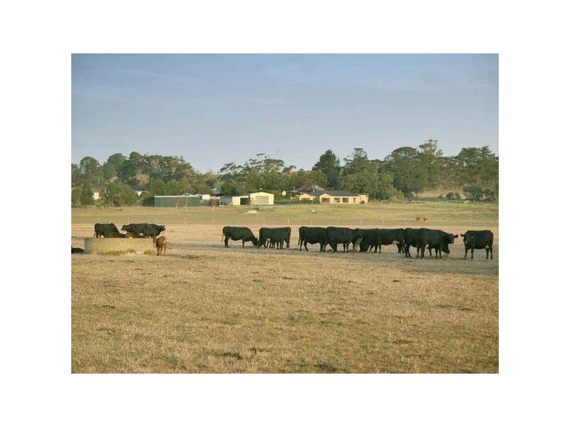 387 Coster Road, Ripplebrook VIC 3818