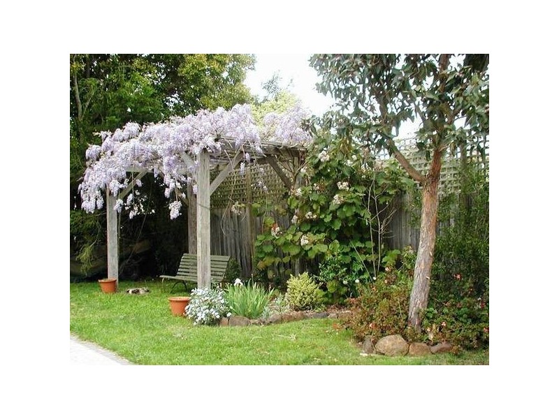 39 Albert Road, Drouin VIC 3818