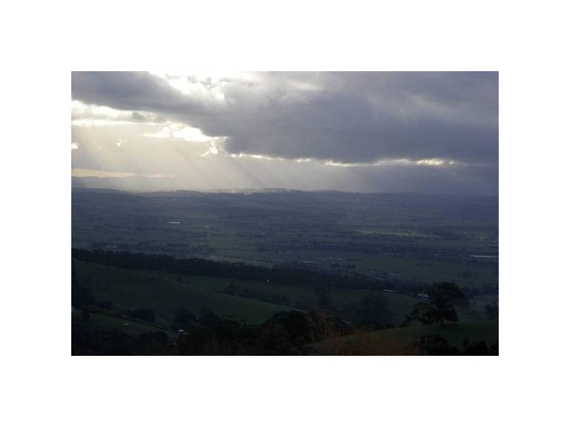 50 Ryans Road, Trafalgar VIC 3824