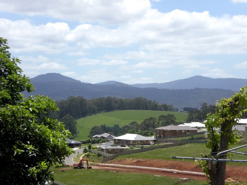 17 Main Neerim Road, Neerim South VIC 3831