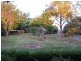 17 Main Neerim Road, Neerim South VIC 3831