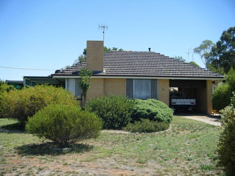 13 Snowy Avenue, Red Cliffs VIC 3496