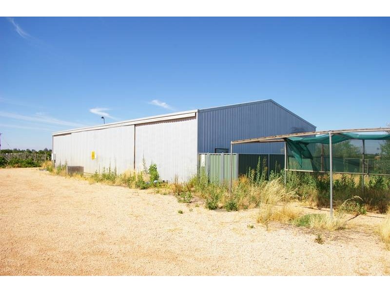 49 Westcliffs Avenue, Red Cliffs VIC 3496