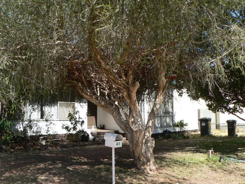 41 Christie Parade, Mildura VIC 3500