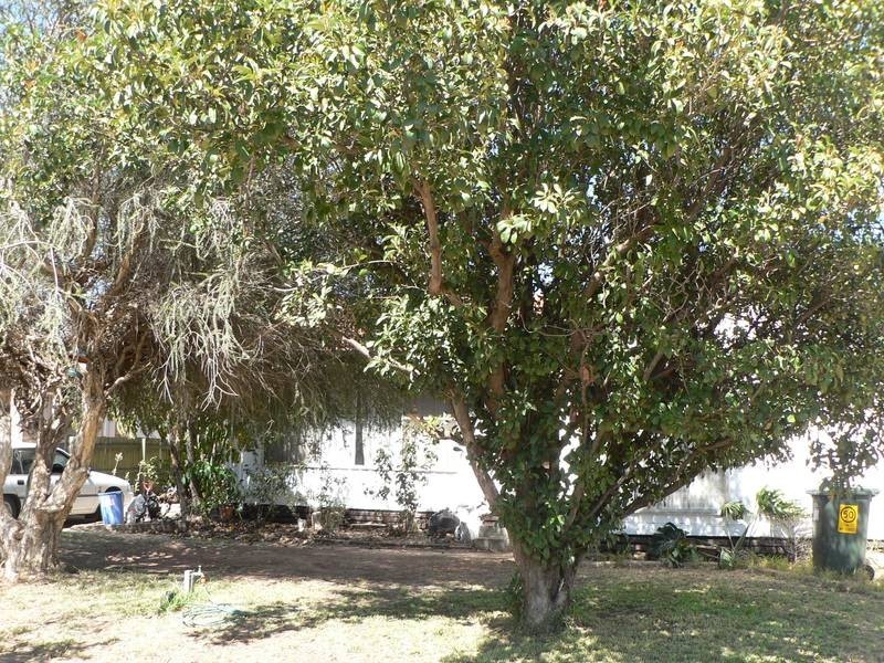 41 Christie Parade, Mildura VIC 3500