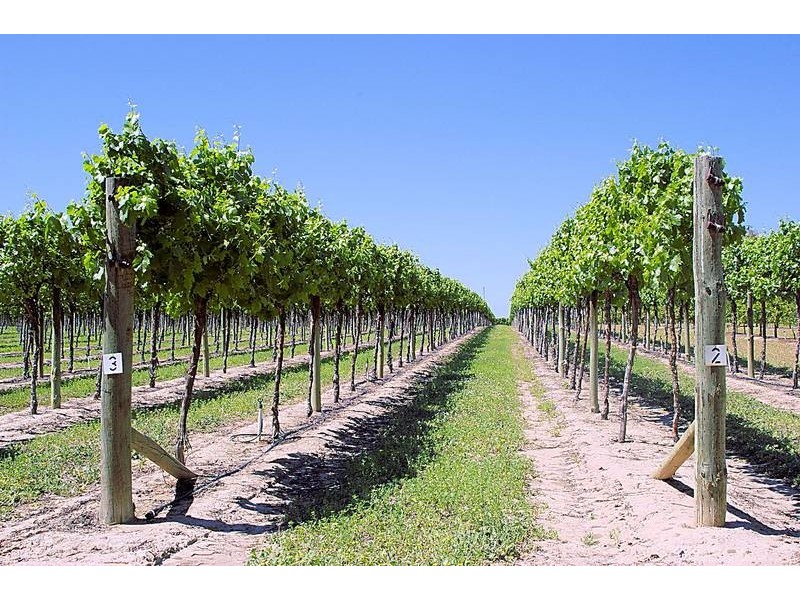 2 Hoyles Road, Yelta VIC 3505