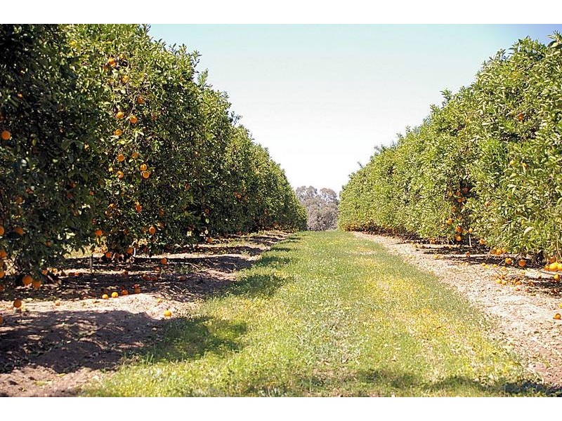 2 Hoyles Road, Yelta VIC 3505