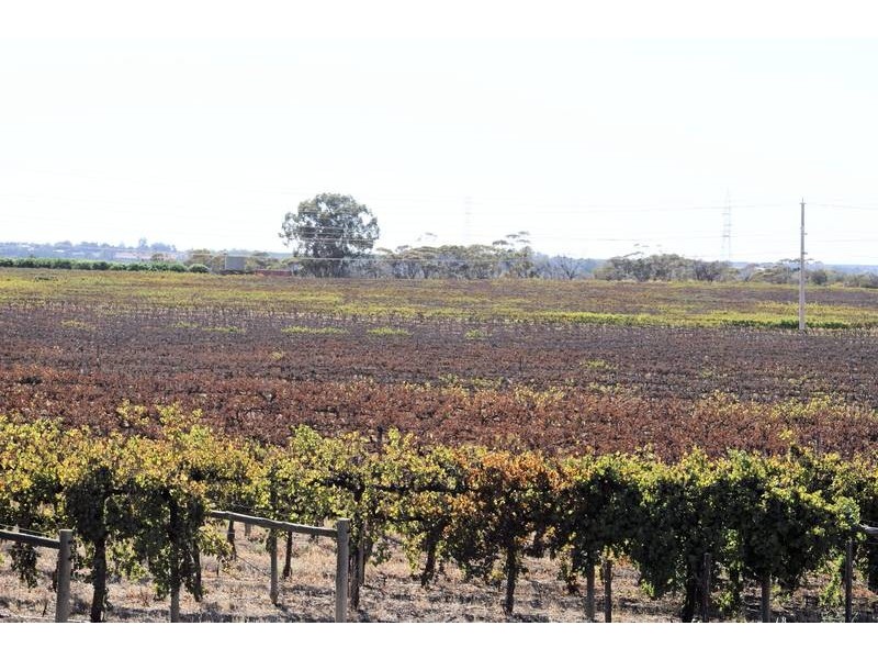 2 Woomera Avenue, Red Cliffs VIC 3496