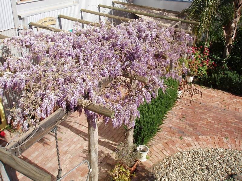 14-16 Olive Avenue, Mildura VIC 3500