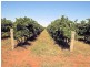 36 Boonoonar Road, Colignan VIC 3494