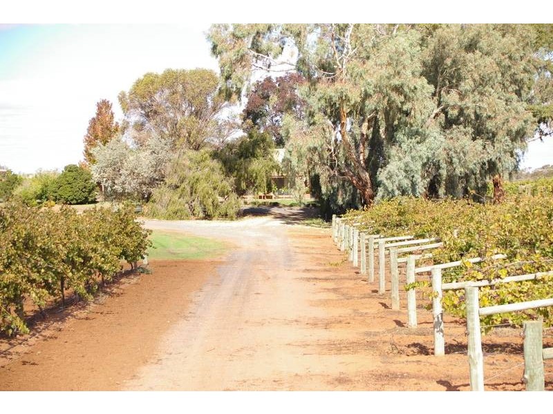 261 Red Cliffs Meringur Road, Red Cliffs VIC 3496