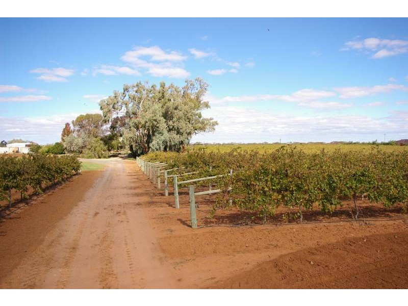 261 Red Cliffs Meringur Road, Red Cliffs VIC 3496