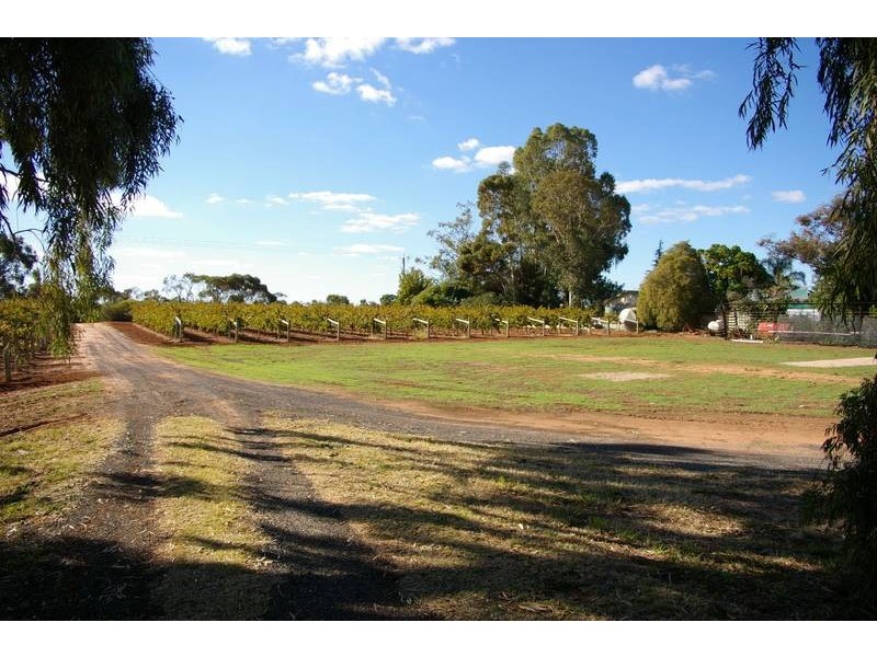 261 Red Cliffs Meringur Road, Red Cliffs VIC 3496