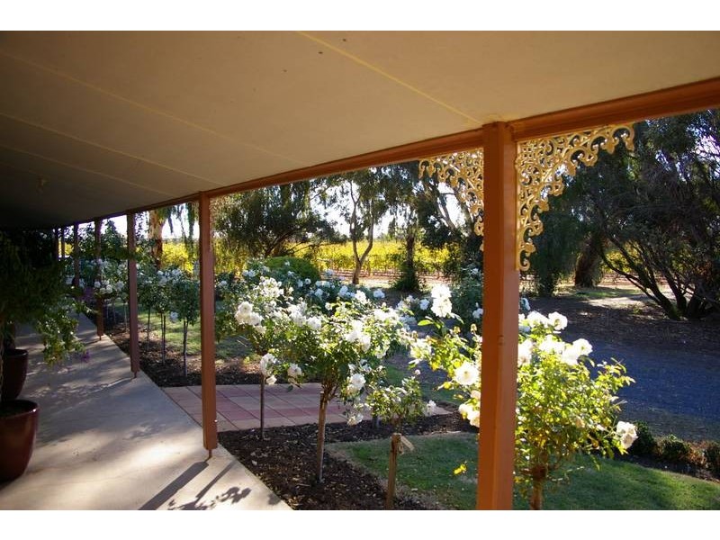 261 Red Cliffs Meringur Road, Red Cliffs VIC 3496