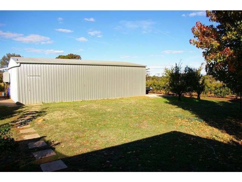 261 Red Cliffs Meringur Road, Red Cliffs VIC 3496