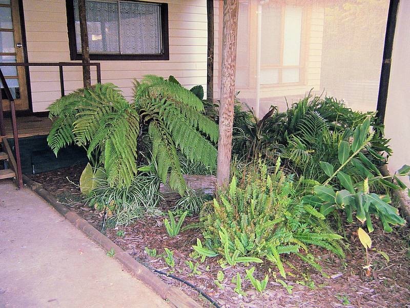 13 Wattle Street, Red Cliffs VIC 3496