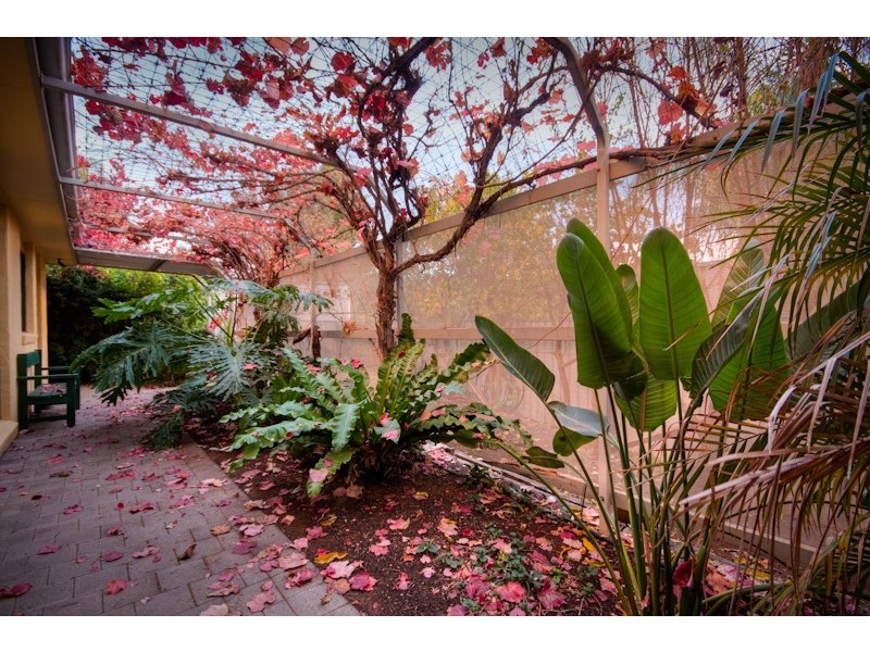 12 Upland Drive, Mildura VIC 3500