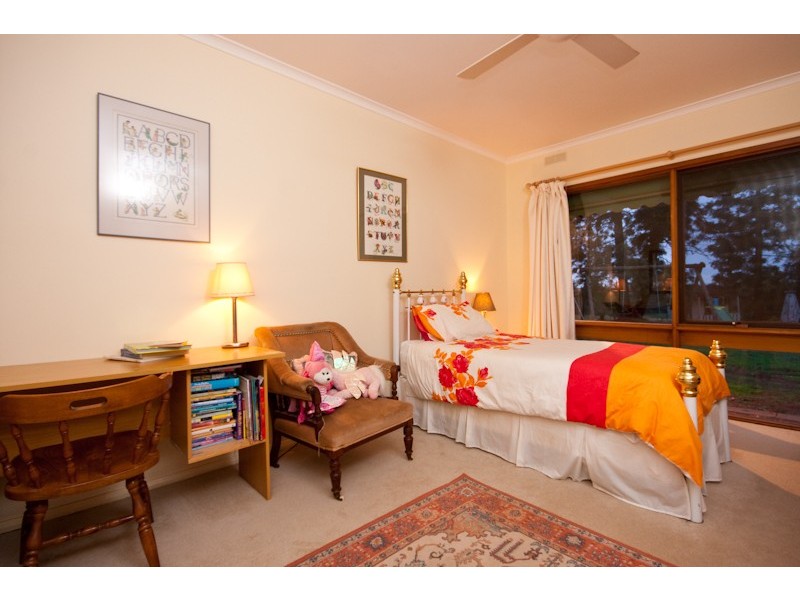 1117 Karadoc Avenue, Irymple VIC 3498