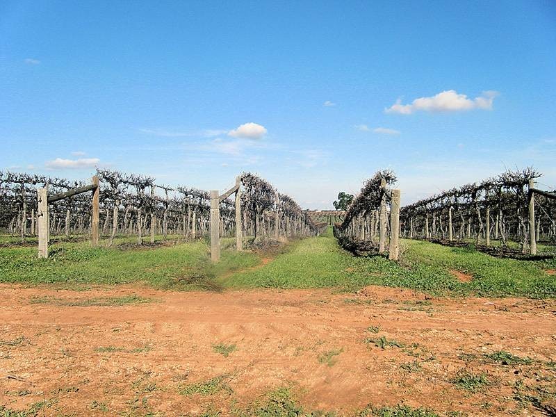 Lot 73,  Nursery Ridge Road, Red Cliffs VIC 3496