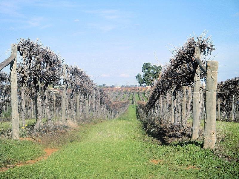 Lot 73,  Nursery Ridge Road, Red Cliffs VIC 3496