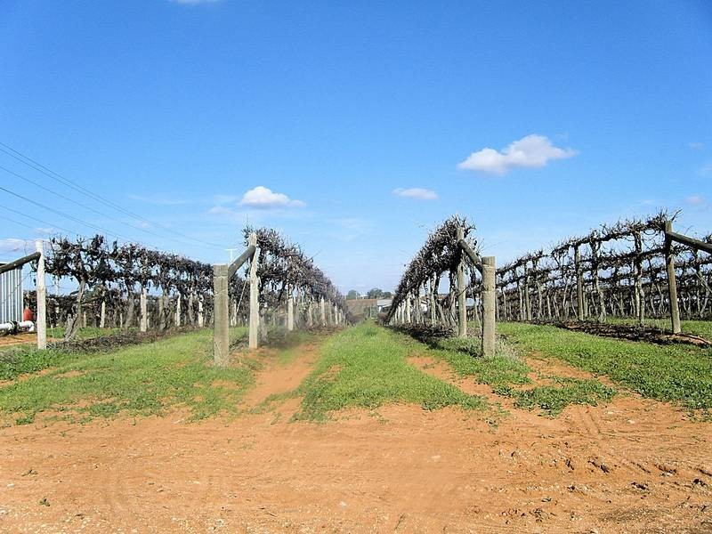 Lot 73,  Nursery Ridge Road, Red Cliffs VIC 3496