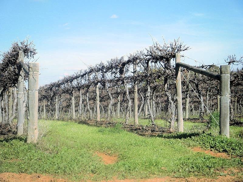 Lot 73,  Nursery Ridge Road, Red Cliffs VIC 3496