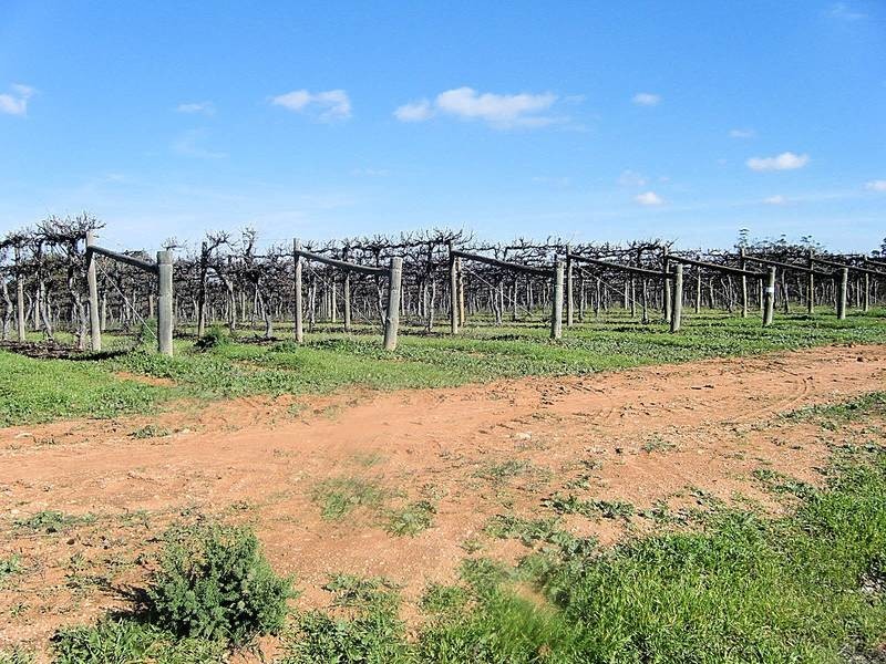 Lot 73,  Nursery Ridge Road, Red Cliffs VIC 3496