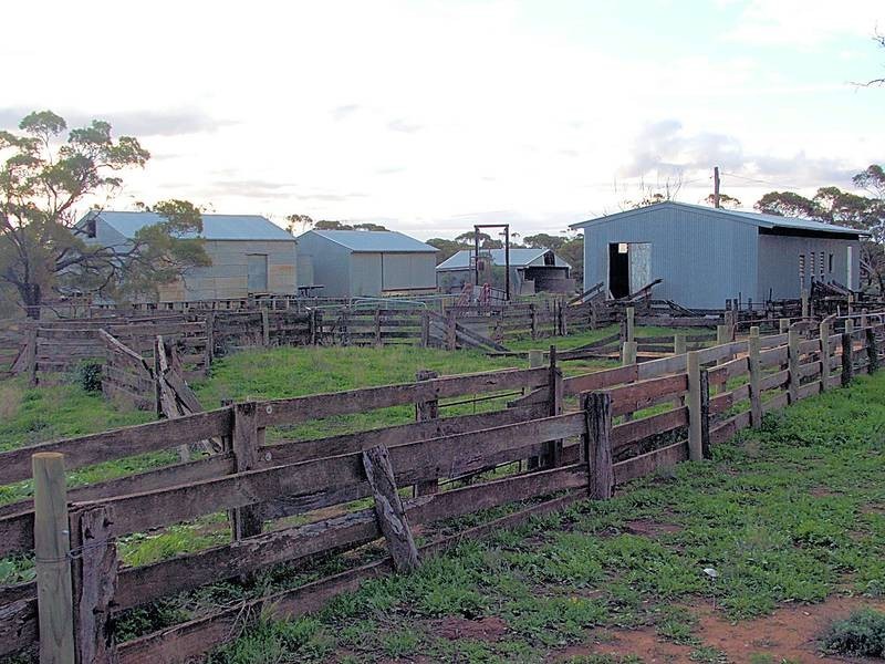 392 Millers Tank Road, Manangatang VIC 3546