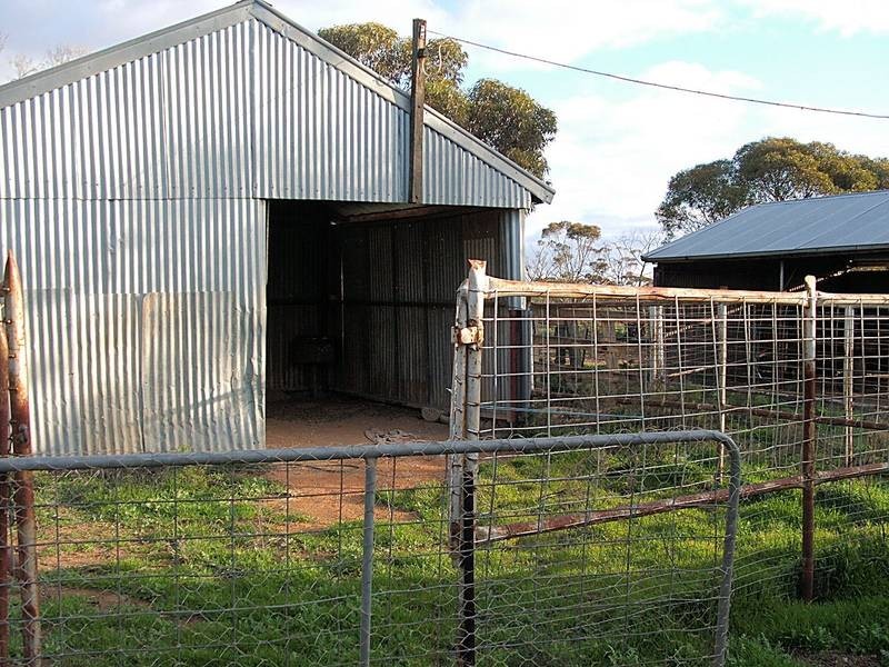 392 Millers Tank Road, Manangatang VIC 3546