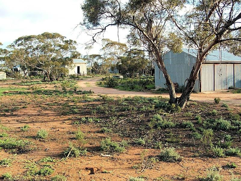 392 Millers Tank Road, Manangatang VIC 3546