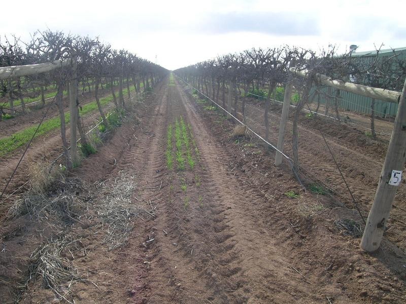 Cnr Ontario Avenue & Sixteenth Street, Mildura VIC 3500