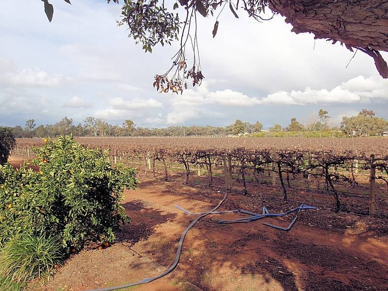 Lot 4,  Potters Road, Gol Gol NSW 2738