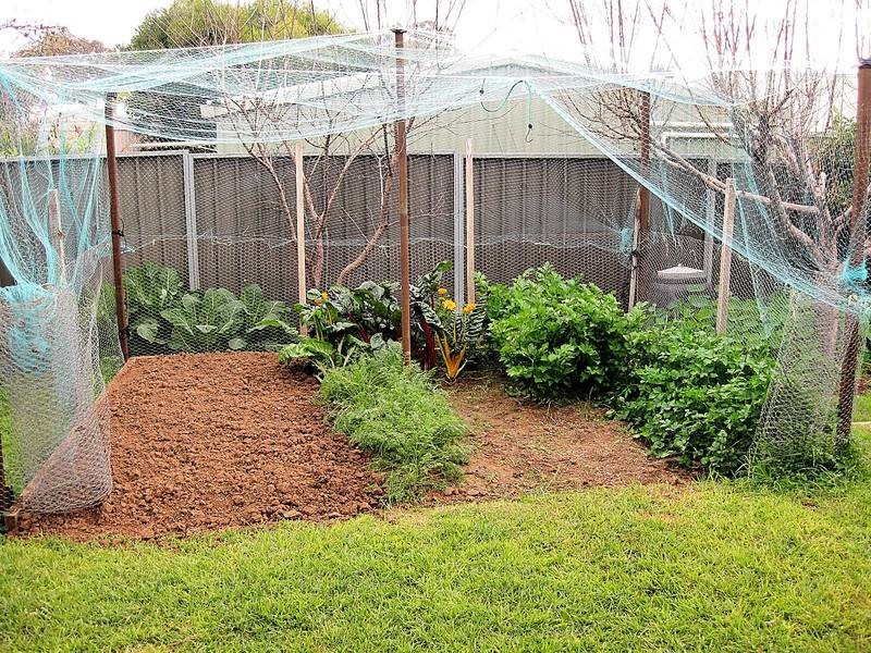 11 Karinya Drive, Mildura VIC 3500