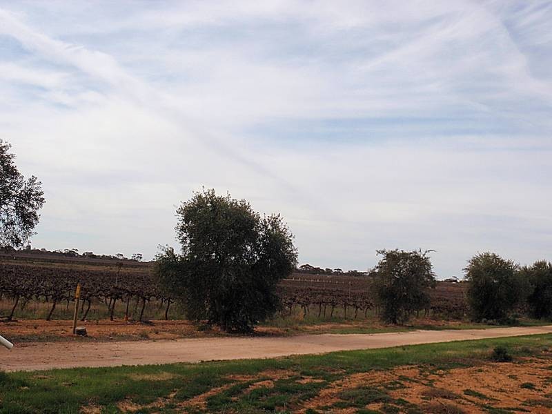 41 Sheoak Avenue, Mildura VIC 3500