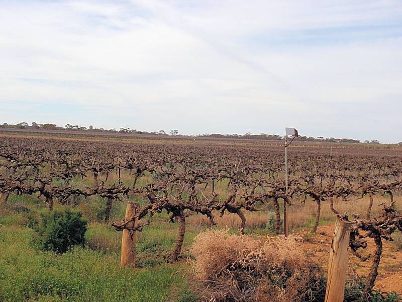 41 Sheoak Avenue, Mildura VIC 3500