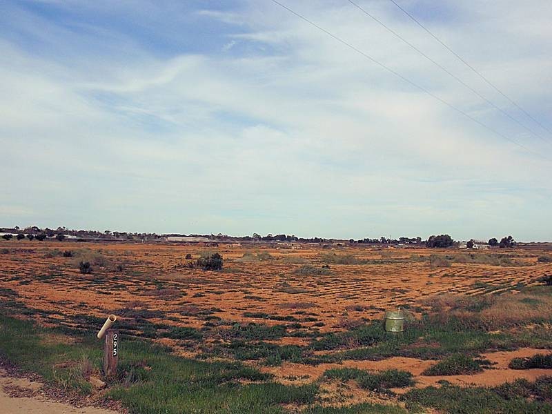 41 Sheoak Avenue, Mildura VIC 3500