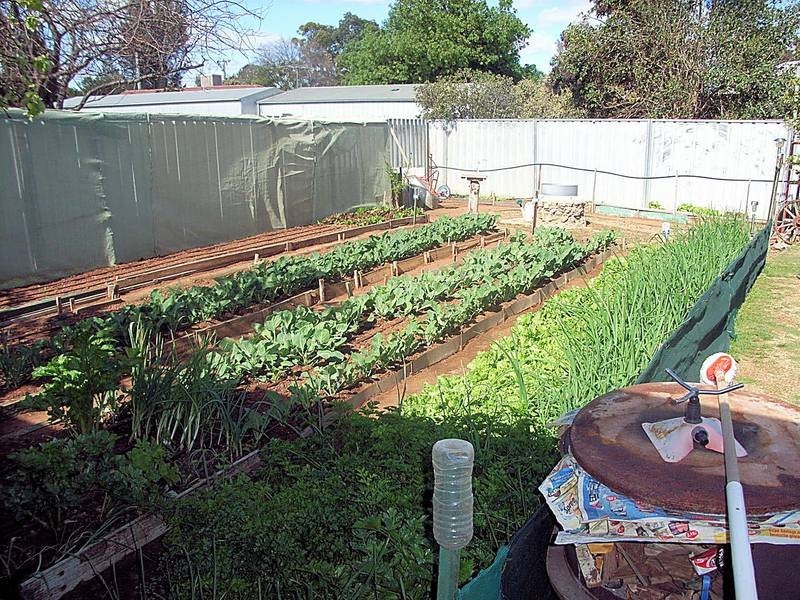 1 Evergreen Court, Mildura VIC 3500