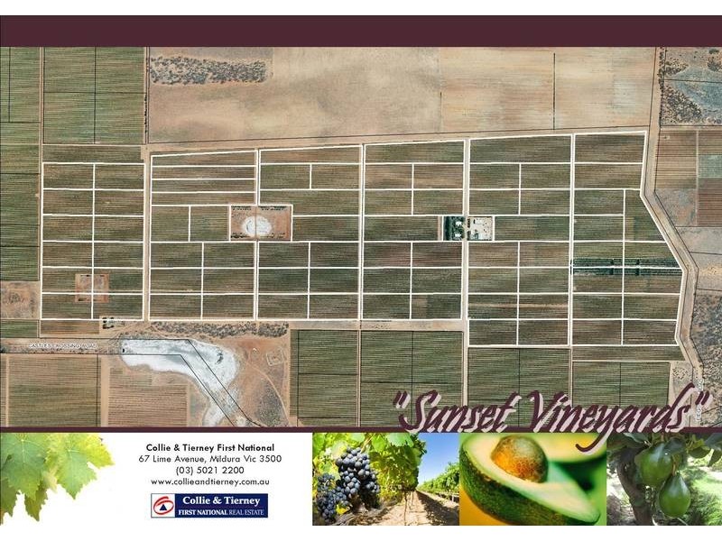 0 Sunset Vineyards off Castle Crossing Road, Nangiloc VIC 3494