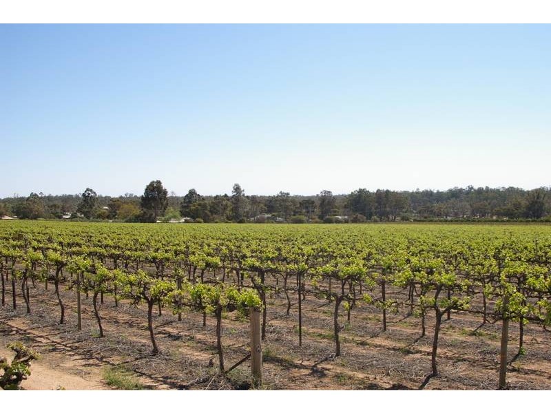 16h,16g,6a Wentworth Road, Yelta VIC 3505