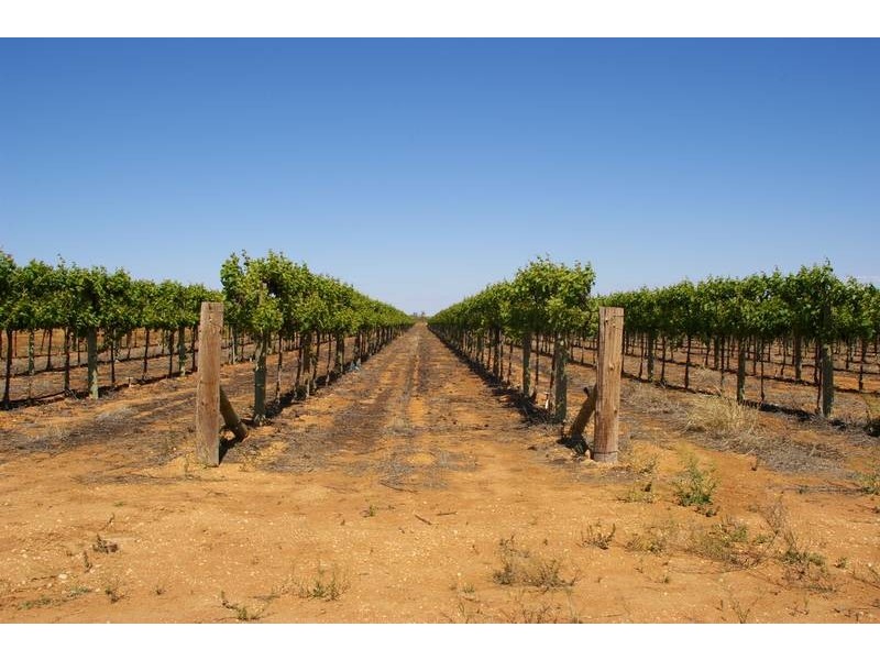 16h,16g,6a Wentworth Road, Yelta VIC 3505