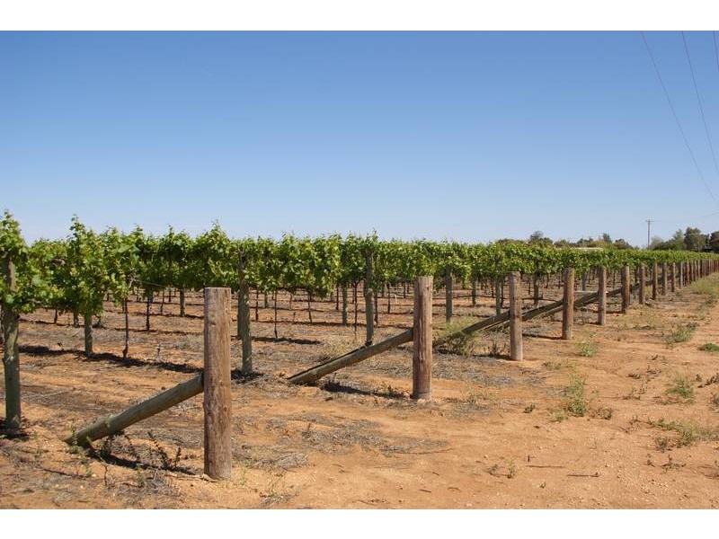 16h,16g,6a Wentworth Road, Yelta VIC 3505