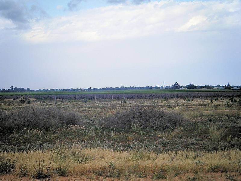 3148 Riverside Avenue, Mildura VIC 3500