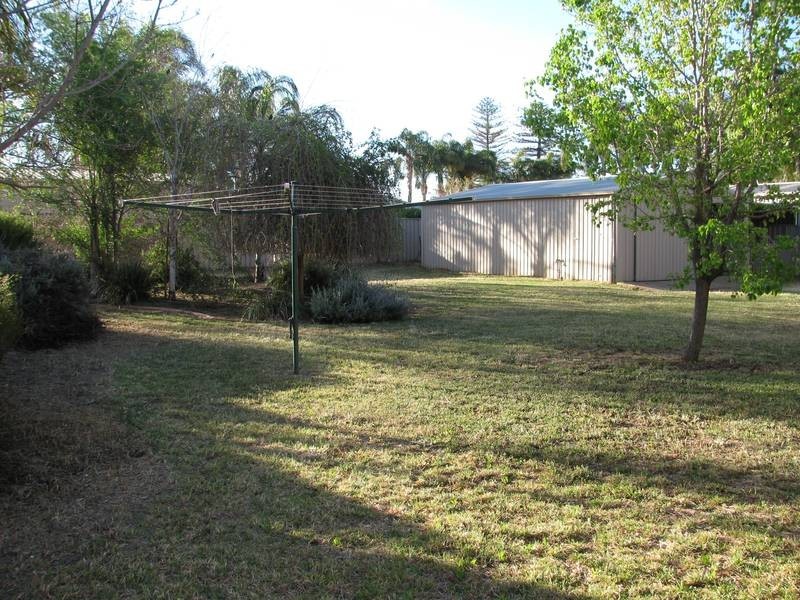 20 Stockmans Drive, Irymple VIC 3498