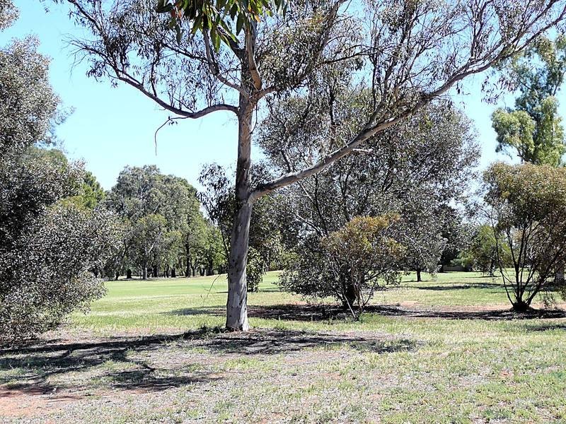 296 Twelfth Street, Mildura VIC 3500