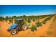 00 Tandou Orchards, Menindee NSW 2879