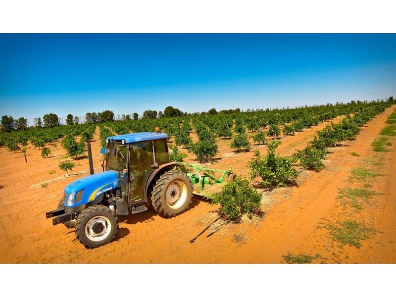 00 Tandou Orchards, Menindee NSW 2879