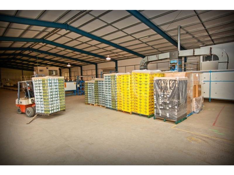 00 Tandou Orchards, Menindee NSW 2879