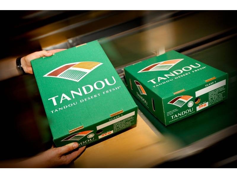 00 Tandou Orchards, Menindee NSW 2879