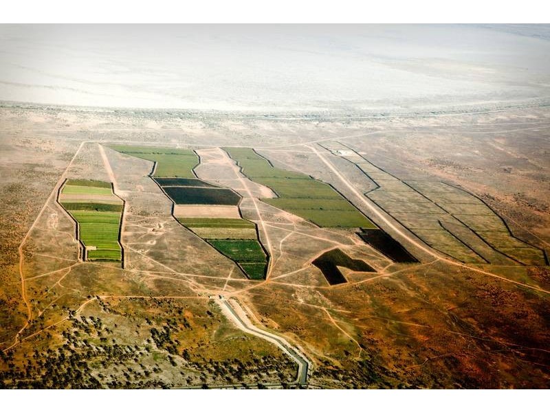 00 Tandou Orchards, Menindee NSW 2879